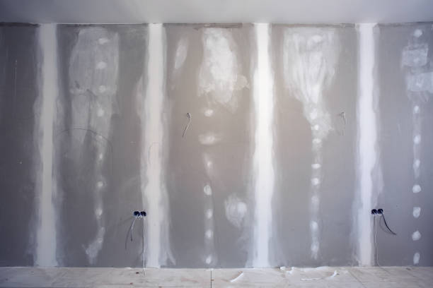 Best Mold Remediation for Vacation Homes  in USA